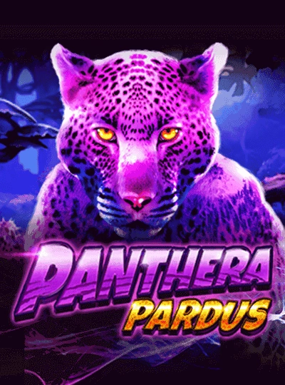 Live Andar Bahar dealer game cover